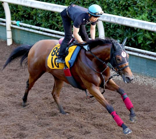 【CBC賞】ジューンブレアは坂路で鋭い切れを披露　陣営「(手綱を)離したら、いつでもうなるくらいの手応え」