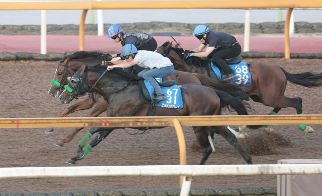 【中京記念・1週前】重賞2勝馬エルトンバローズが3頭併せで最先着　マイルCS以来9か月ぶりの実戦へ順調