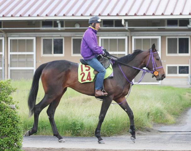 【POG】新潟2歳Sに向かうサンアントワーヌが帰厩後初時計　岩田望来騎手と初コンビ