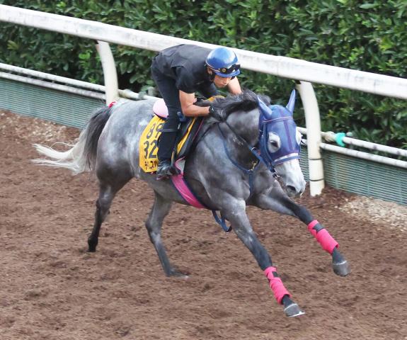 【注目馬動向】アイビスSD2着のテイエムスパーダはセントウルSを視野　ヨシノイースターも参戦予定
