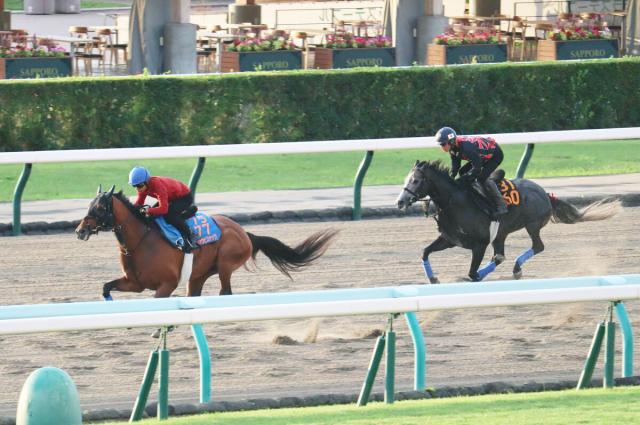 【札幌記念・1週前】ホウオウビスケッツは岩田康誠騎手を背に手応え良く鋭伸「いい意味でボーッとしている」
