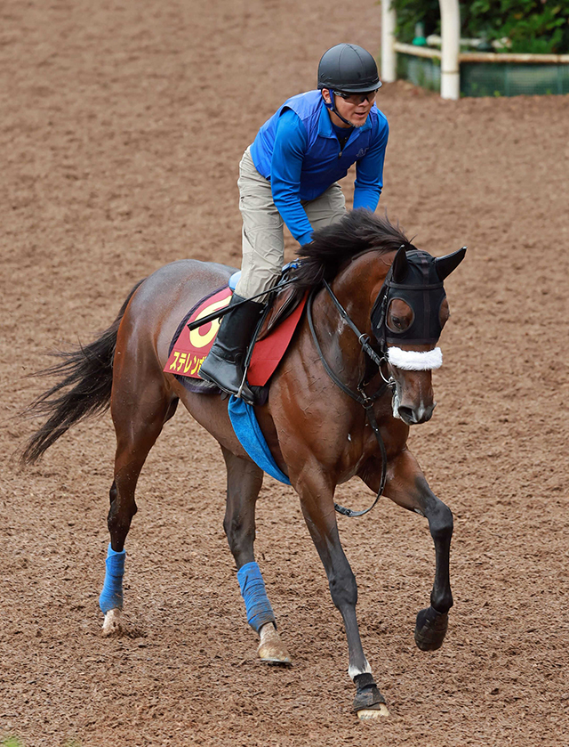 ２４年桜花賞馬ステレンボッシュ　８・１７札幌記念は池添との新コンビで参戦