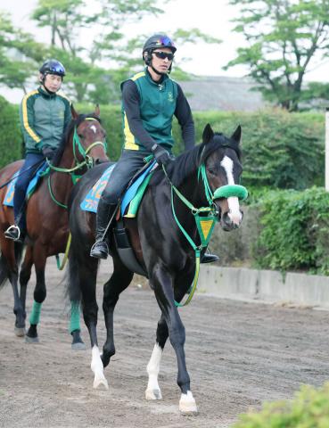 【エルムS】ブライアンセンスは丹内祐次騎手と初コンビ　2週連続追い切り「いいイメージでいけそう」