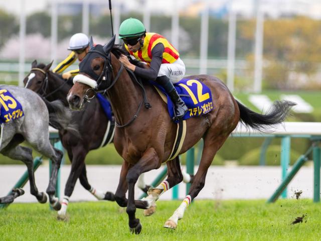 半姉は桜花賞馬のステレンボッシュ 3歳のフランシュフックがダートで初陣だ