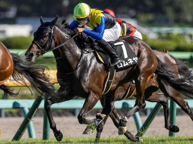 【三面川特別】半妹はリバティアイランド ロムネヤが待望の3勝目なるか