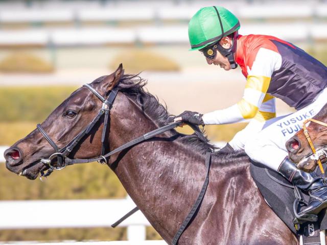 母は名牝ラキシス ミラージュナイトが必勝期す自己条件での復帰戦だ