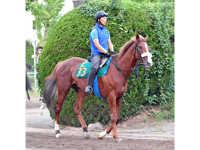 アーモンドアイの子プロメサアルムンドが右前膝骨折で全治６カ月以上　新馬戦Ｖ後に腫れと熱感