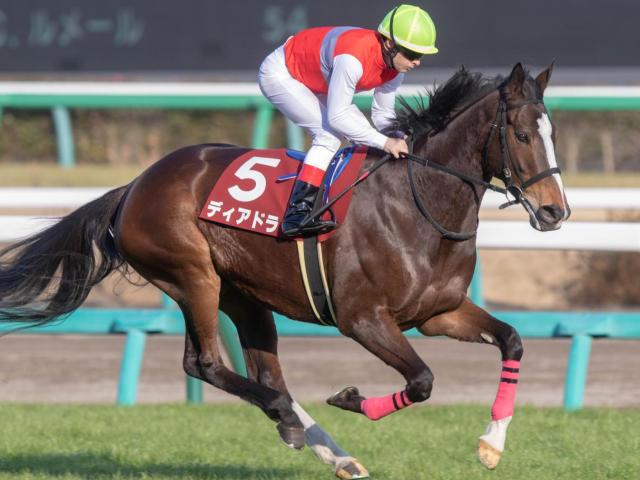 半姉は名牝ディアドラ 3歳のザンクトガレンが待望のデビュー戦だ