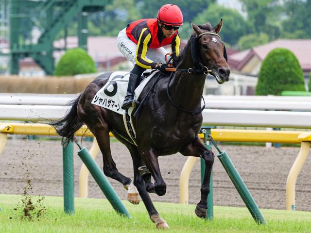 【浜名湖特別】半兄に日本ダービー馬と皐月賞馬 シャハザマーンがバデル騎手と特別初勝利なるか