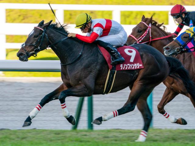 半姉は2歳女王のダノンファンタジー オルネーロがC.ルメール騎手で初陣だ