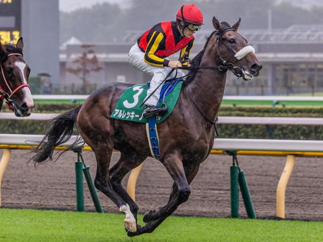 半姉はGI・2勝のチェルヴィニア アルレッキーノがセン馬となって再始動だ