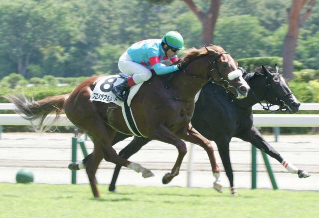 アーモンドアイの2番子プロメサアルムンドが右前膝骨折　全治6カ月以上の見込み