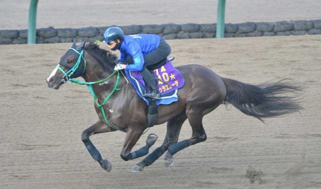 【エルムS】ドゥラエレーデ　松山背に好時計ラスト1F11秒4「反応も良く動き良かった」