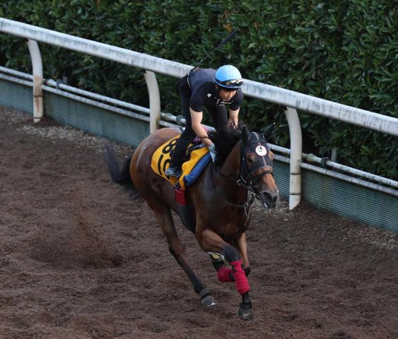【CBC賞】ジューンブレア　時計以上に躍動感のある走り「今回もいい状態」
