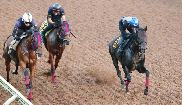 【レパードS】皐月賞9着でダート初挑戦のヴィンセンシオ「適性はある」