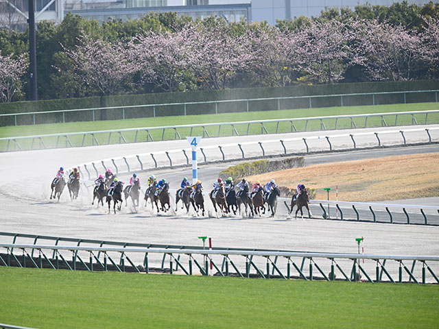 昨年から実施の「競走時間帯の拡大」 今年から中京競馬にも導入した理由は？