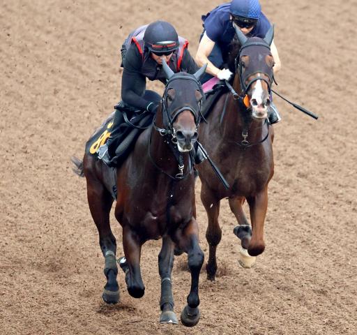 【CBC賞】ポッドベイダーが坂路で手応え良く先着　陣営「先週よりも良くなっていると思う」