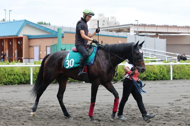 【POG】ヤマカツエースの半弟ペプチドエレノアが8月9日に札幌でデビュー予定　鞍上は武豊騎手