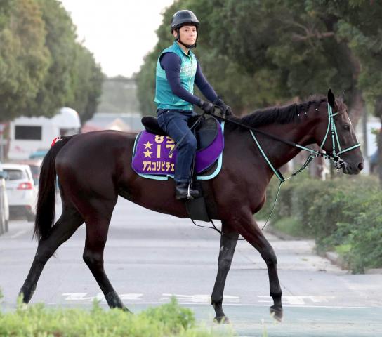 ジャックルマロワ賞に出走するアスコリピチェーノが仏到着　「いつもどおりのコンディションを保てている」