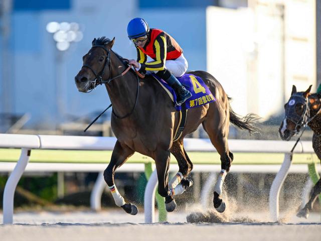 【レパードS出走馬・騎手確定】ジャナドリア＆戸崎圭太騎手、ヴィンセンシオ＆C.ルメール騎手など15頭