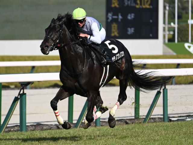 【有力馬動向】ハヤテノフクノスケが函館芝で横山和を背にキビキビ 札幌記念へ順調/馬三郎のつぶやき