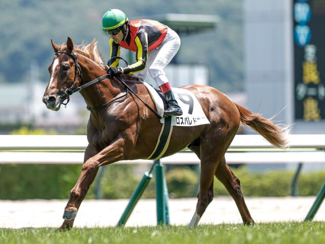 【POG】ロスパレドネスが帰厩＆坂路で力感十分の動き 兄弟Vが懸かる札幌2歳Sへ/馬三郎のつぶやき