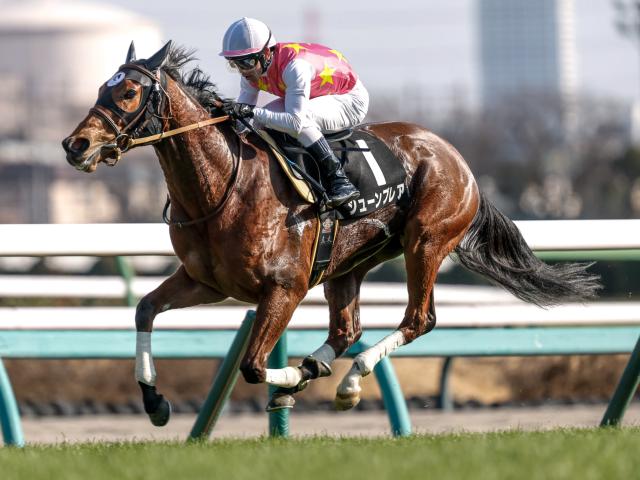 【CBC賞出走馬・騎手確定】ジューンブレア＆武豊騎手、ヤマニンアルリフラ＆団野大成騎手など18頭
