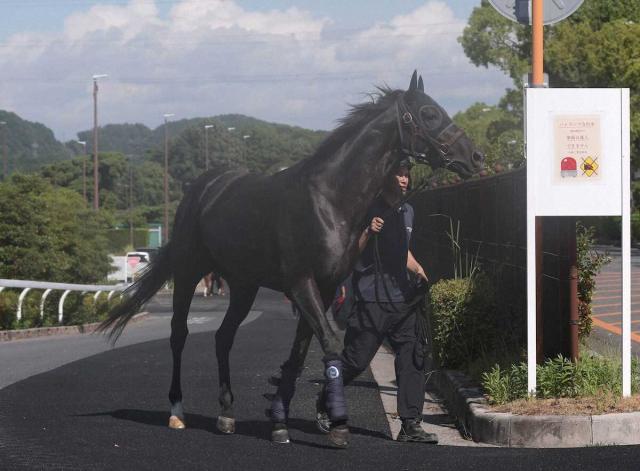 ダービー馬クロワデュノールが放牧先から栗東に帰厩　秋は凱旋門賞に挑戦