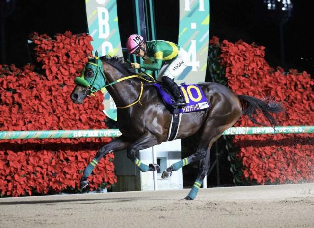 【11月3日開催　JBC競走】発走予定時刻を発表　クラシックは船橋で17時20分