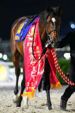 韓国国際競走に日本馬6頭選定　コリアカップのドゥラエレーデ、ラムジェットなど