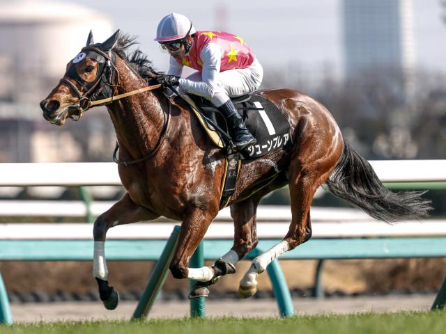 【スマートファルコン】JBCクラシック・帝王賞・川崎記念(現地的中馬券セット) 快足スマートファルコンの「9馬身差V」「2分1秒1」が燦然と輝く