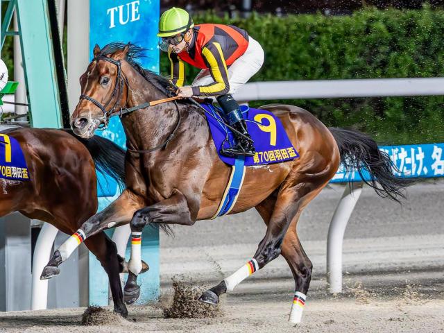 【レパードS枠順確定】ジャナドリアは4枠6番、ヴィンセンシオは6枠10番