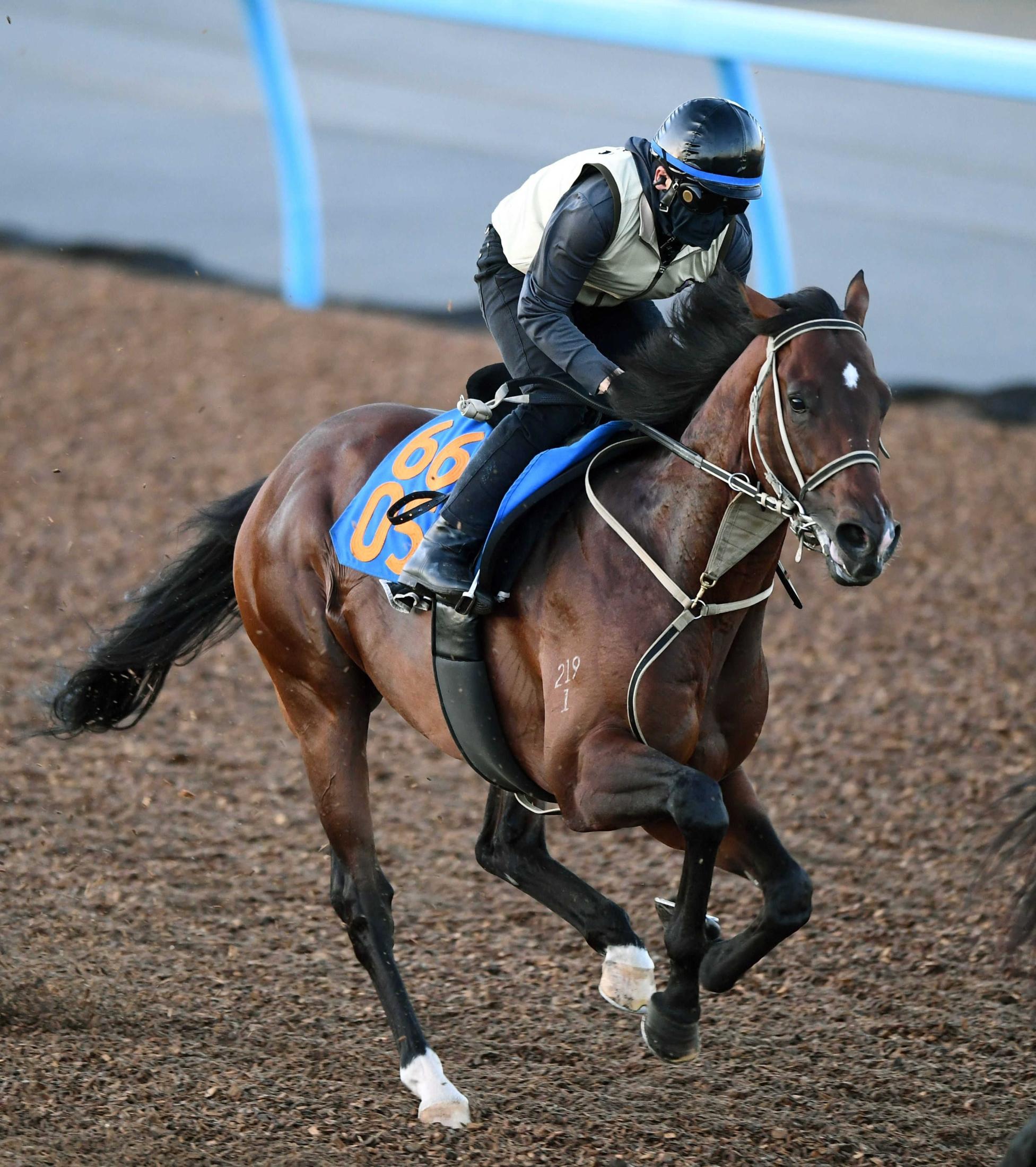 【ＣＢＣ賞】インビンシブルパパ　名手モレイラのひと言で路線変更　快速馬の芝重賞２戦目に高まる期待