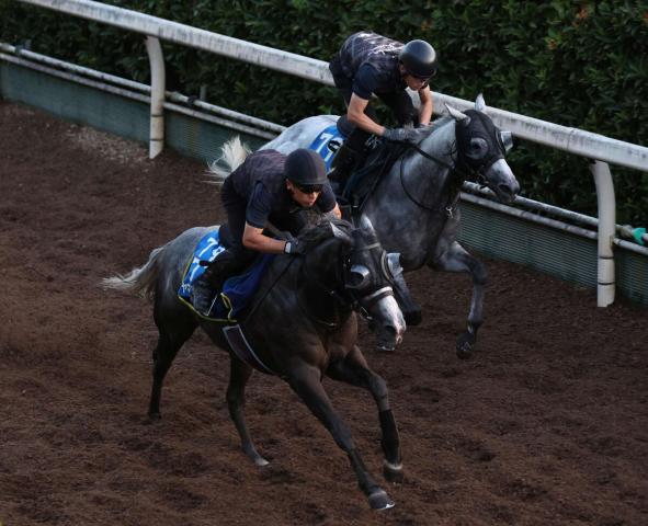 【CBC賞】重賞連勝狙うヤマニンアルリフラは7枠14番　武豊騎手騎乗のジューンブレアは5枠9番　枠順決定