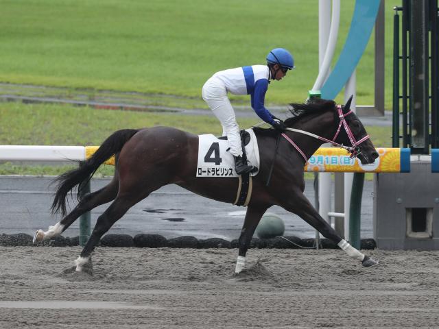 【レパードS予想】出世レースとして名高い一戦 3歳ダートの登竜門を制すのは
