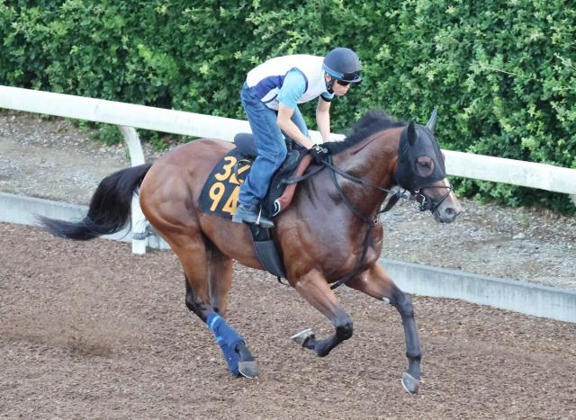 【レパードS】末脚安定のサノノワンダーは初の1800メートルがカギ　栗田調教師「どれだけうまく立ち回れるか」