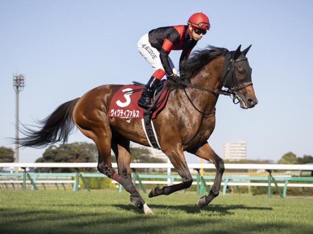 21年スプリングS覇者ヴィクティファルスが登録抹消 今後は大井競馬に移籍する予定
