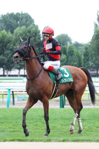 ヴィクティファルスが競走馬登録を抹消　今後は大井競馬へ移籍