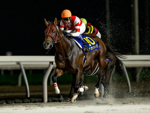 【盛岡・クラスターC枠順】短距離重賞2勝のチカッパは4枠6番、GI馬ダノンスコーピオンは6枠9番