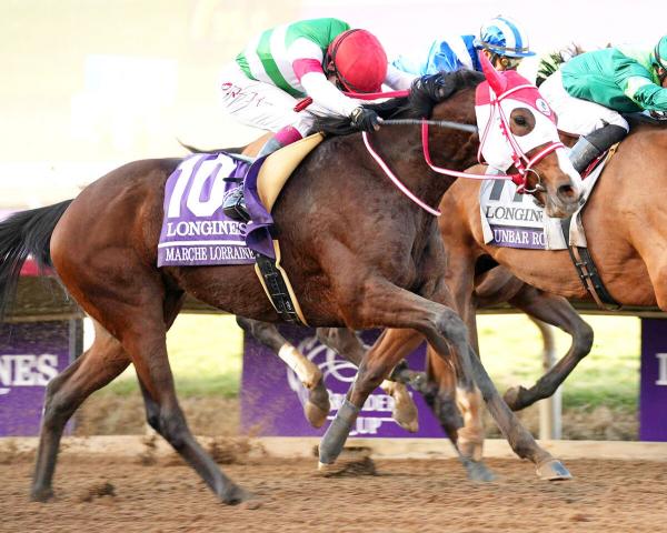 キャロットクラブ1歳馬の最高募集価格が1・6億円!　配合は父キタサンブラック×母マルシュロレーヌ