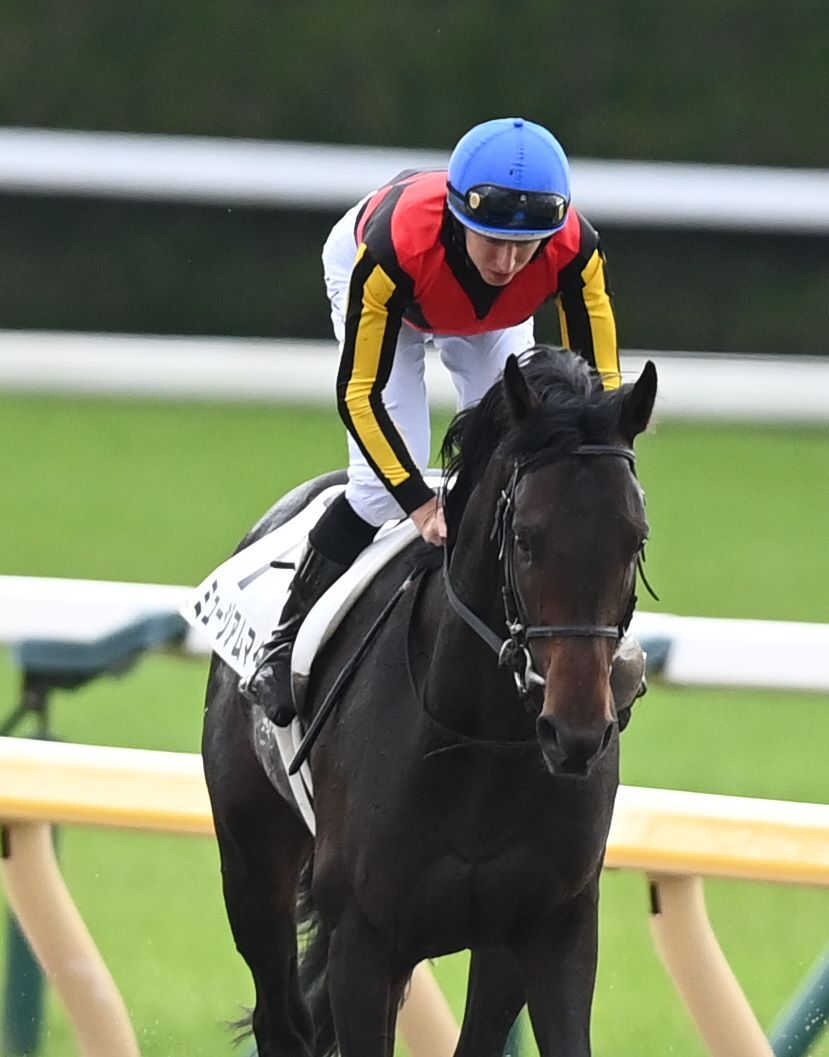 皐月賞馬ミュージアムマイルはセントライト記念から天皇賞・秋へ　クロワデュノール、マスカレードボールに続いて菊路線は見送りに