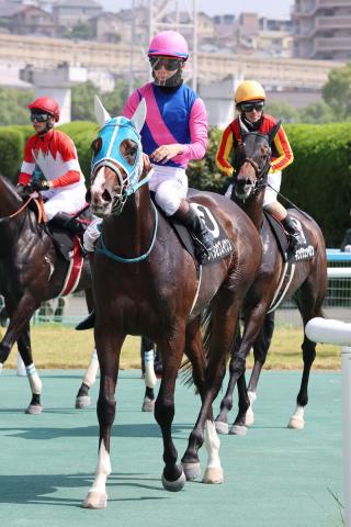 【3歳&古馬・注目馬動向】メイショウズイウンは武豊騎手で不来方賞に登録　ダノンフェアレディは戸崎圭太騎手で紫苑S
