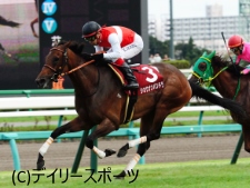 ニュース検索 競馬ニュース Netkeiba Com