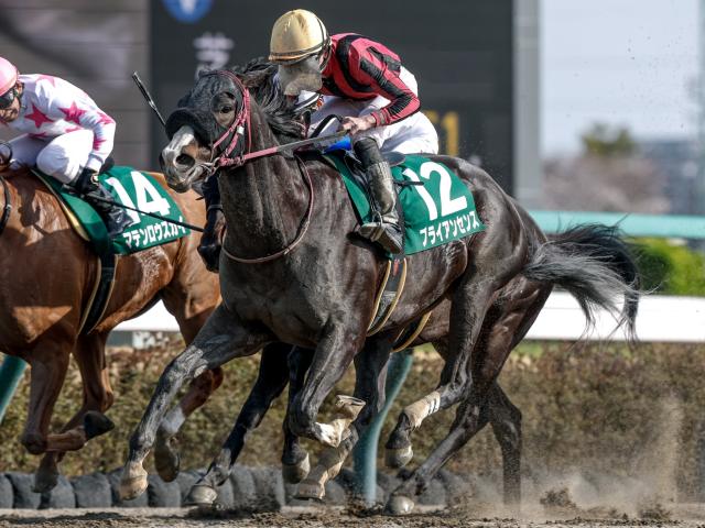 【週末情報】仕上がり上々のブライアンセンス、2個目の重賞ゲットに虎視眈々/馬三郎のつぶやき