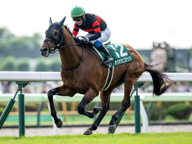 【札幌記念想定馬・騎手】ホウオウビスケッツ、ステレンボッシュなど18頭