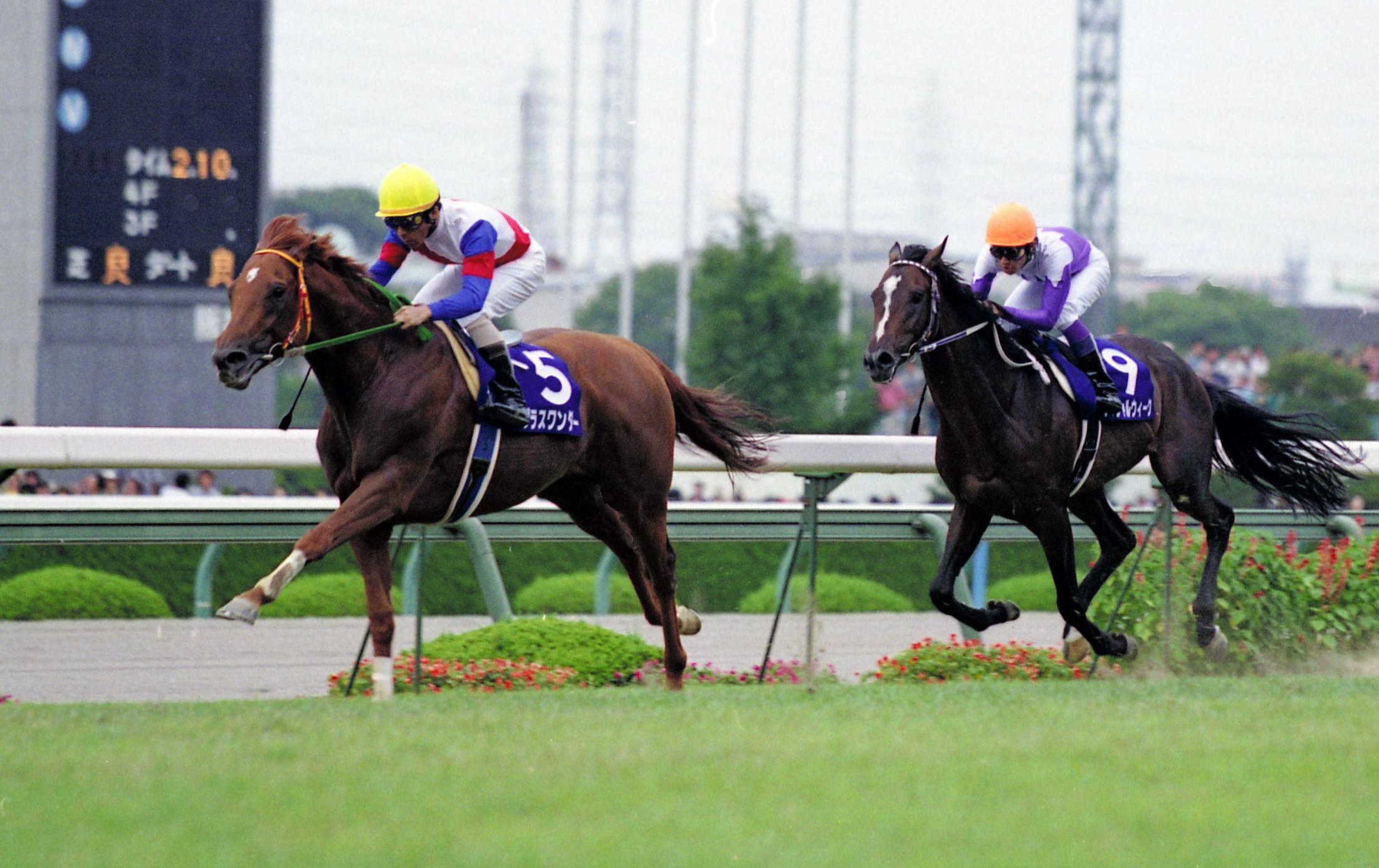 グラスワンダー死す  ３０歳　９８＆９９年有馬記念などＧ１・４勝　尾形充弘元調教師「感謝しています」