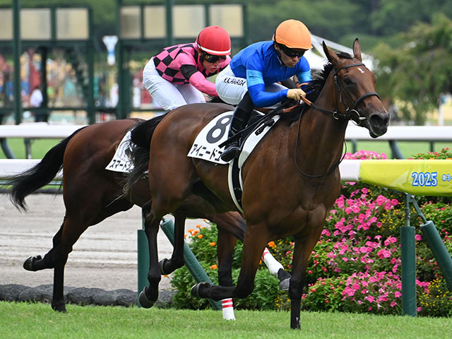 【中京4R新馬戦結果】ファインニードル産駒アイニードユーが人気に応えてV