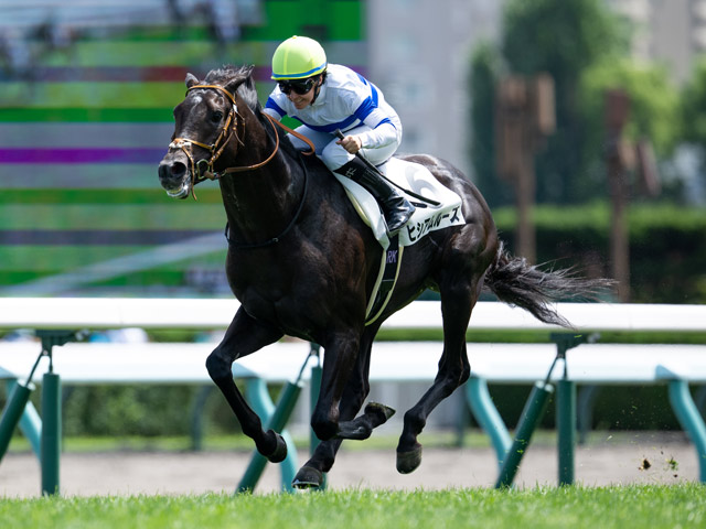 【札幌5R新馬戦結果】サートゥルナーリア産駒ヒシアムルーズが初陣飾る