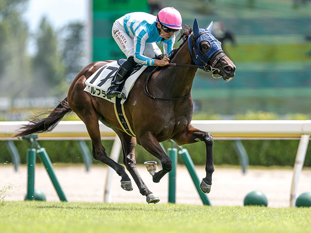 【新潟3R新馬戦結果】8番人気ベルフラムが抜け出し快勝 リアルスティール産駒