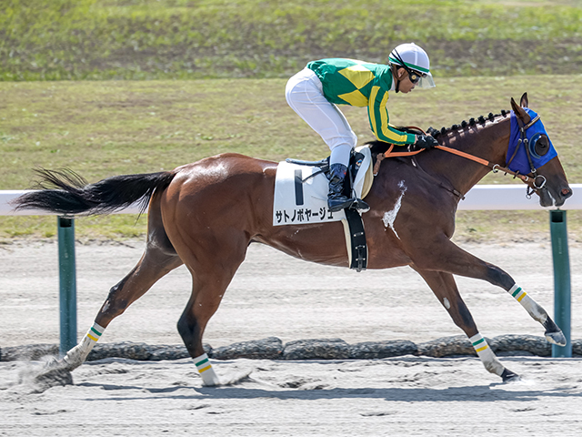 【2歳未勝利新潟1Rレース後コメント】サトノボヤージュ戸崎圭太騎手ら